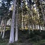 Terrasses De Duplex Leana 441 Malmedy