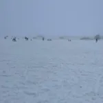 Terrasses De Duplex Leana 441 Malmedy