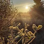 Terrasses De Duplex Leana 441 *