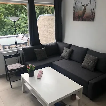 Apartment Terrasses De Duplex Leana 441 Malmedy