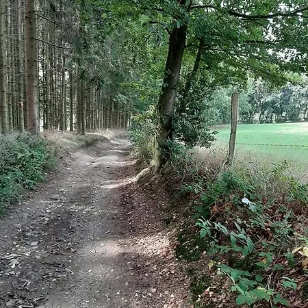 Apartamento Terrasses De Duplex Leana 441