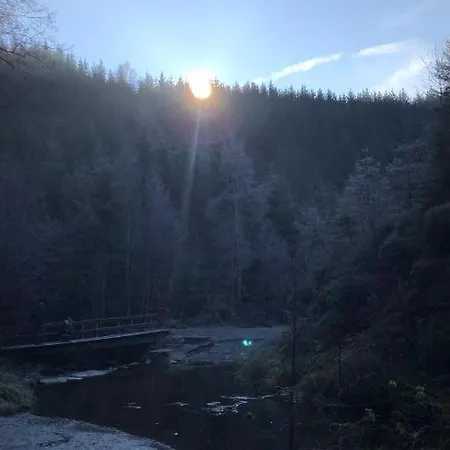 Appartement Terrasses De Duplex Leana 441 *