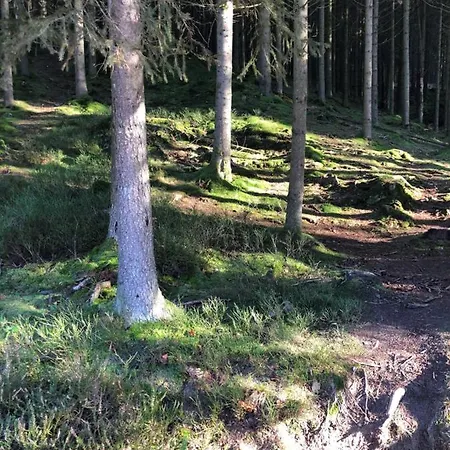 Terrasses De Duplex Leana 441 Malmedy