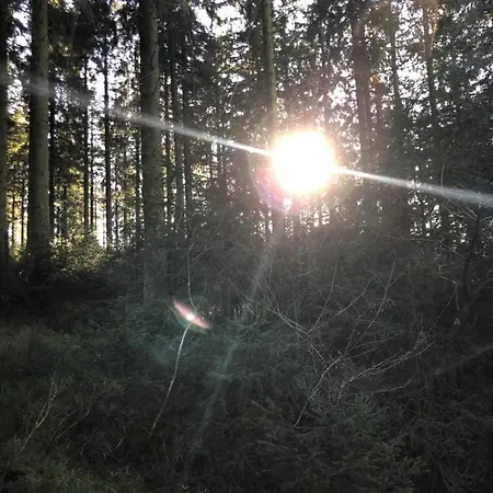 Appartement Terrasses De Duplex Leana 441