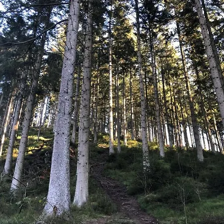 Terrasses De Duplex Leana 441 Malmedy