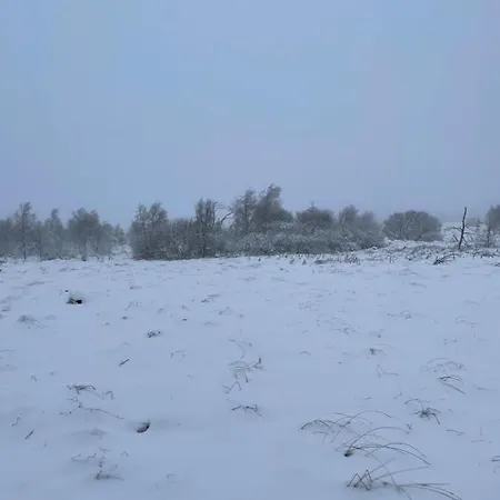 公寓 Terrasses De Duplex Leana 441 *