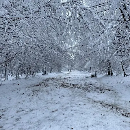 Terrasses De Duplex Leana 441 公寓 *