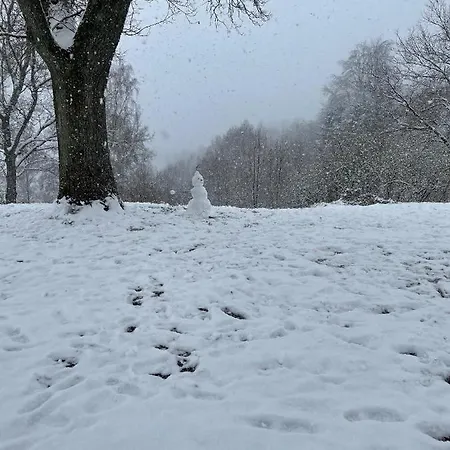 Apartamento Terrasses De Duplex Leana 441