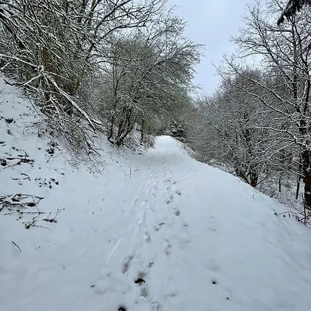 Terrasses De Duplex Leana 441 Malmedy