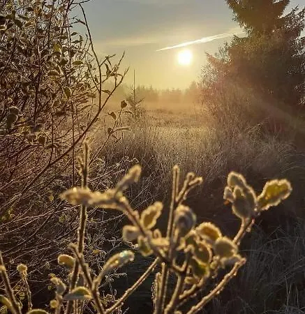 Terrasses De Duplex Leana 441 *