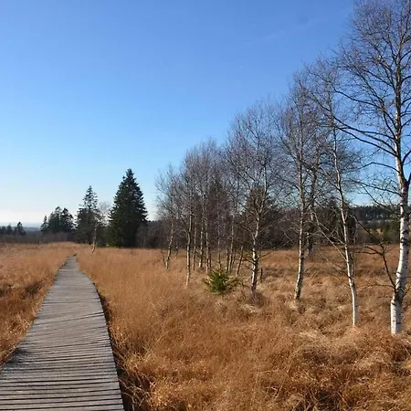 Apartamento Terrasses De Duplex Leana 441 *