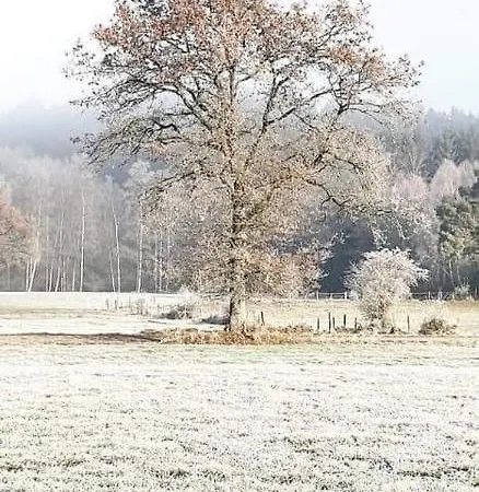 Apartamento Terrasses De Duplex Leana 441 Malmedy