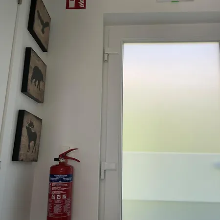 Apartment Terrasses De Duplex Leana 441