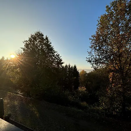 Apartamento Terrasses De Duplex Leana 441