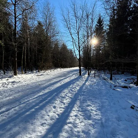 公寓 Terrasses De Duplex Leana 441 *